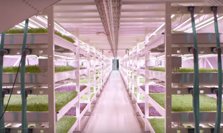 4 entreprises qui ont déjà misé sur l&rsquo;apprentissage automatique