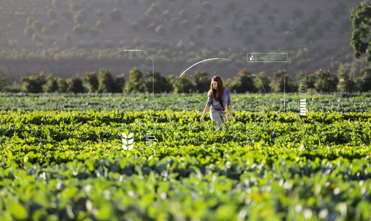 Nainen tarkastaa satoa pellolla