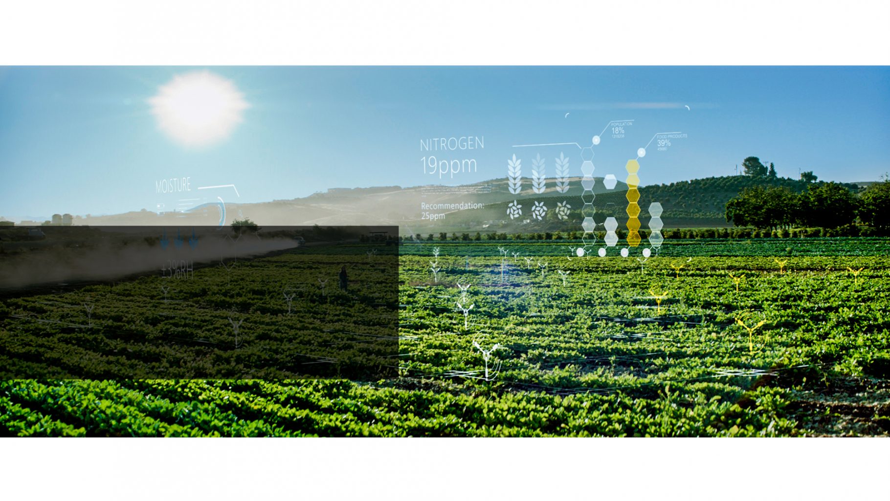 MS_AI_Agriculture_DataVis_002 – Microsoft Pulse