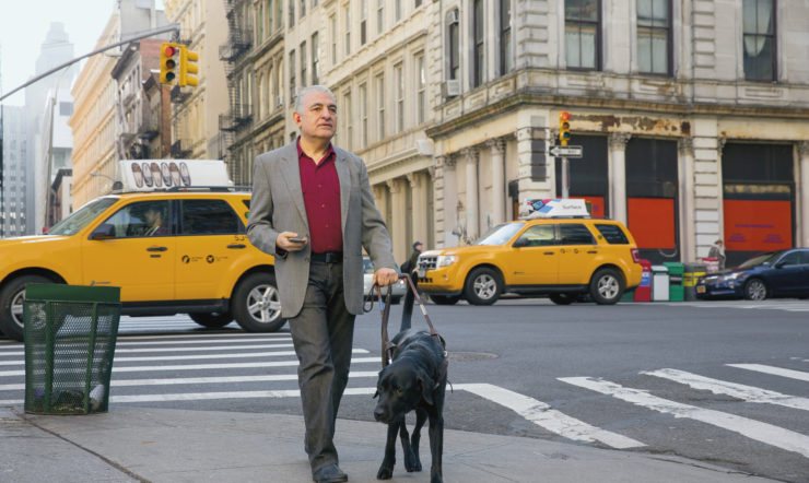 Uma pessoa a passear o cão numa rua movimentada