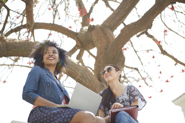 Twee vrouwen werken onder een boom op hun laptop