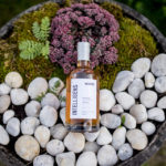 een close-up van voedsel