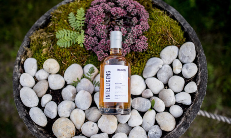 een close-up van voedsel