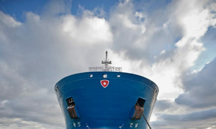 et stort fly på en overskyet dag