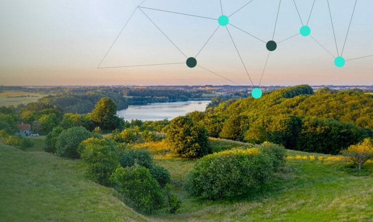 Digitalisering og bæredygtighed går hånd i hånd