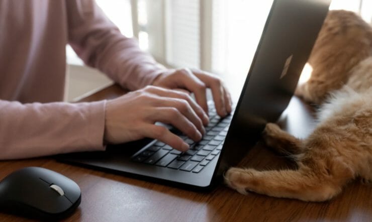 een kat die op het toetsenbord van een laptopcomputer ligt