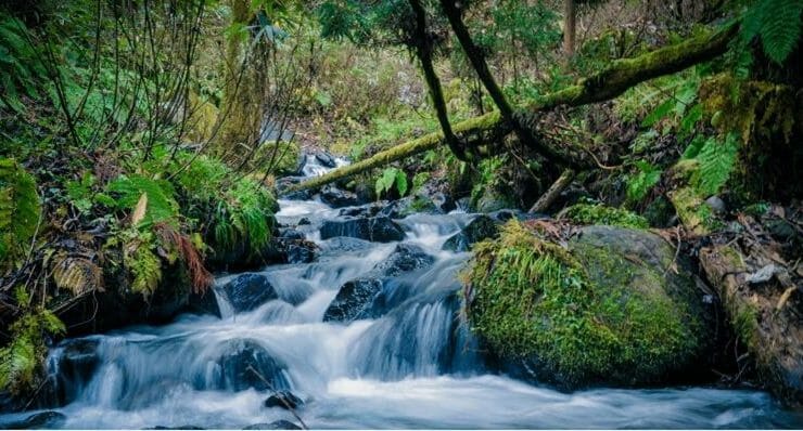 Meten is weten én verduurzamen