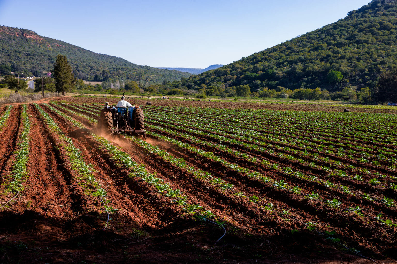 man on a tractor in a farmland