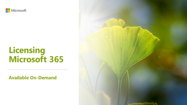 Licensing Microsoft 365 OnDemand
