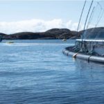 Banner with people walking along a fish farm