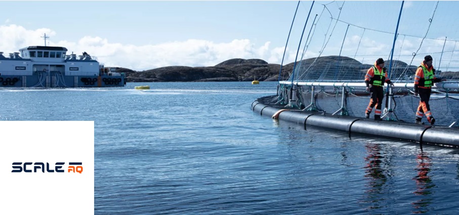 Banner with people walking along a fish farm
