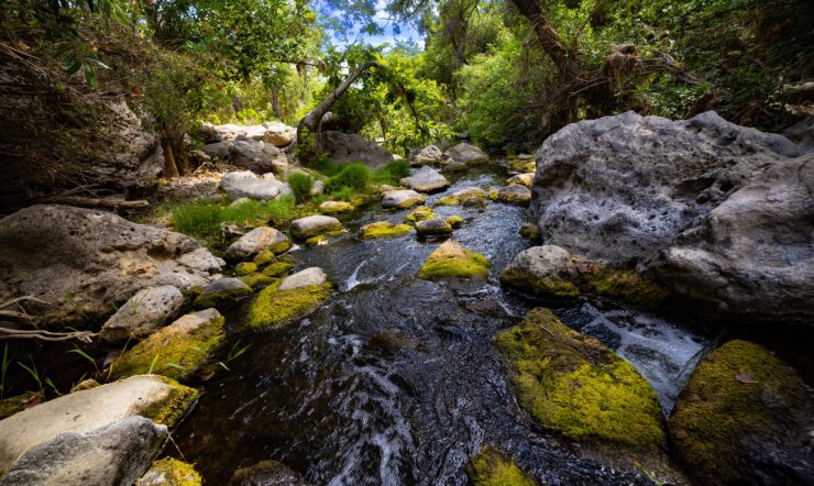 Sustentabilidade: Imperativo e Oportunidade para as Organizações