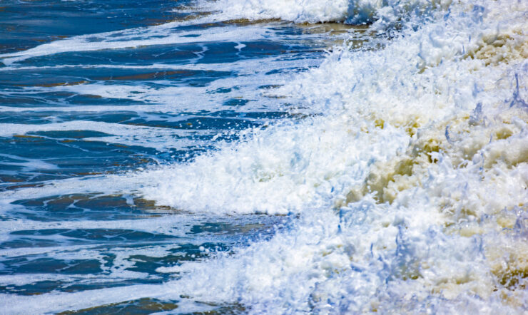 Vattenfalls AI-lösning har potential att stoppa invasiva arter