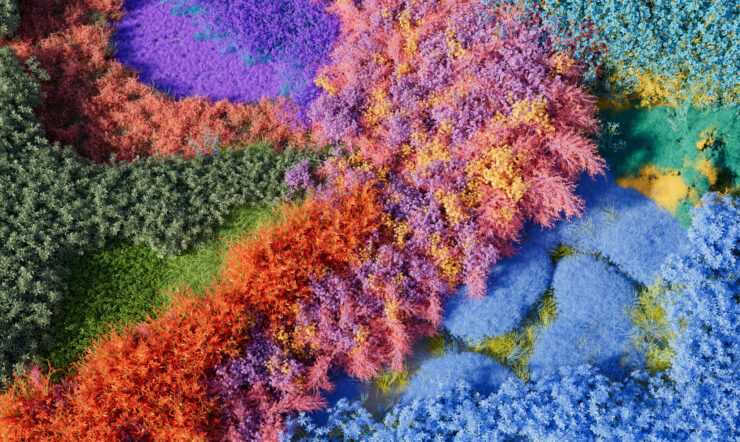 Global Accessibility Awareness Day