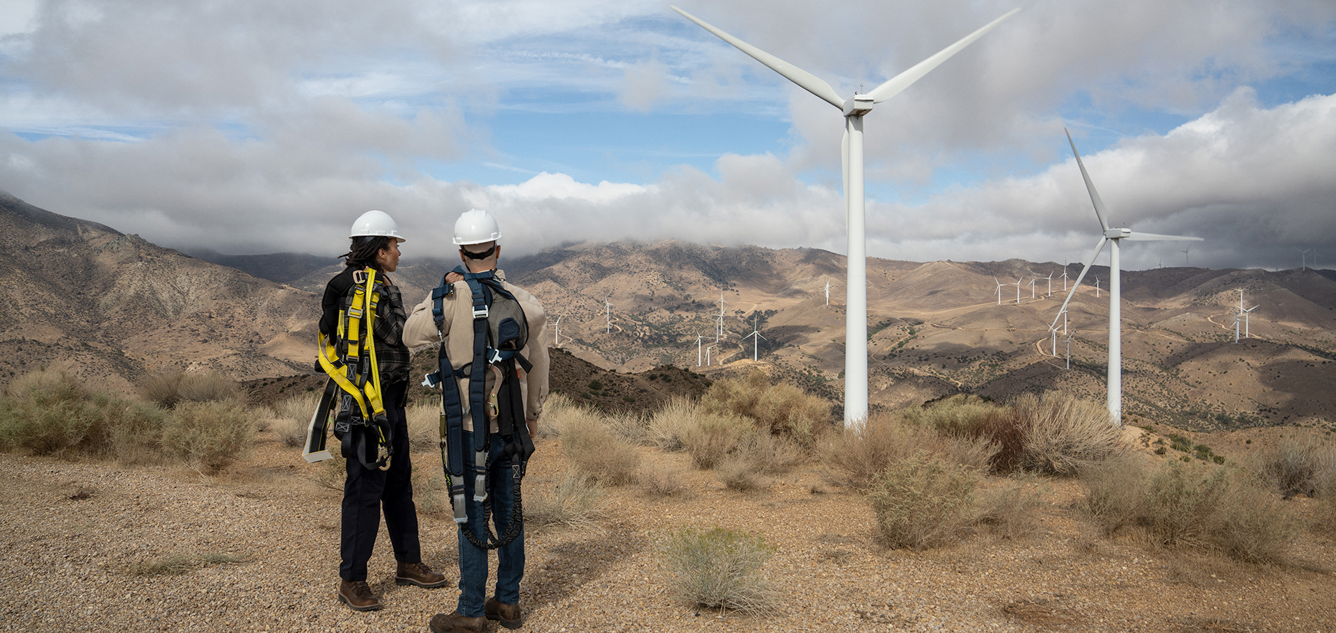 EDP: powering the global energy transition