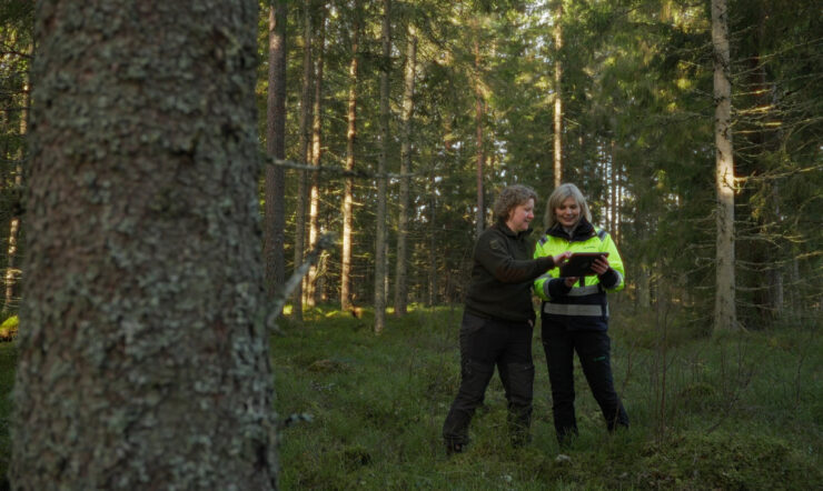 Södra optimerar produktionen med Azure Open AI