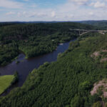 Green forest and a small lake seen from above