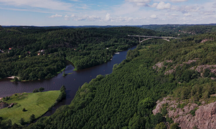Green forest and a small lake seen from above